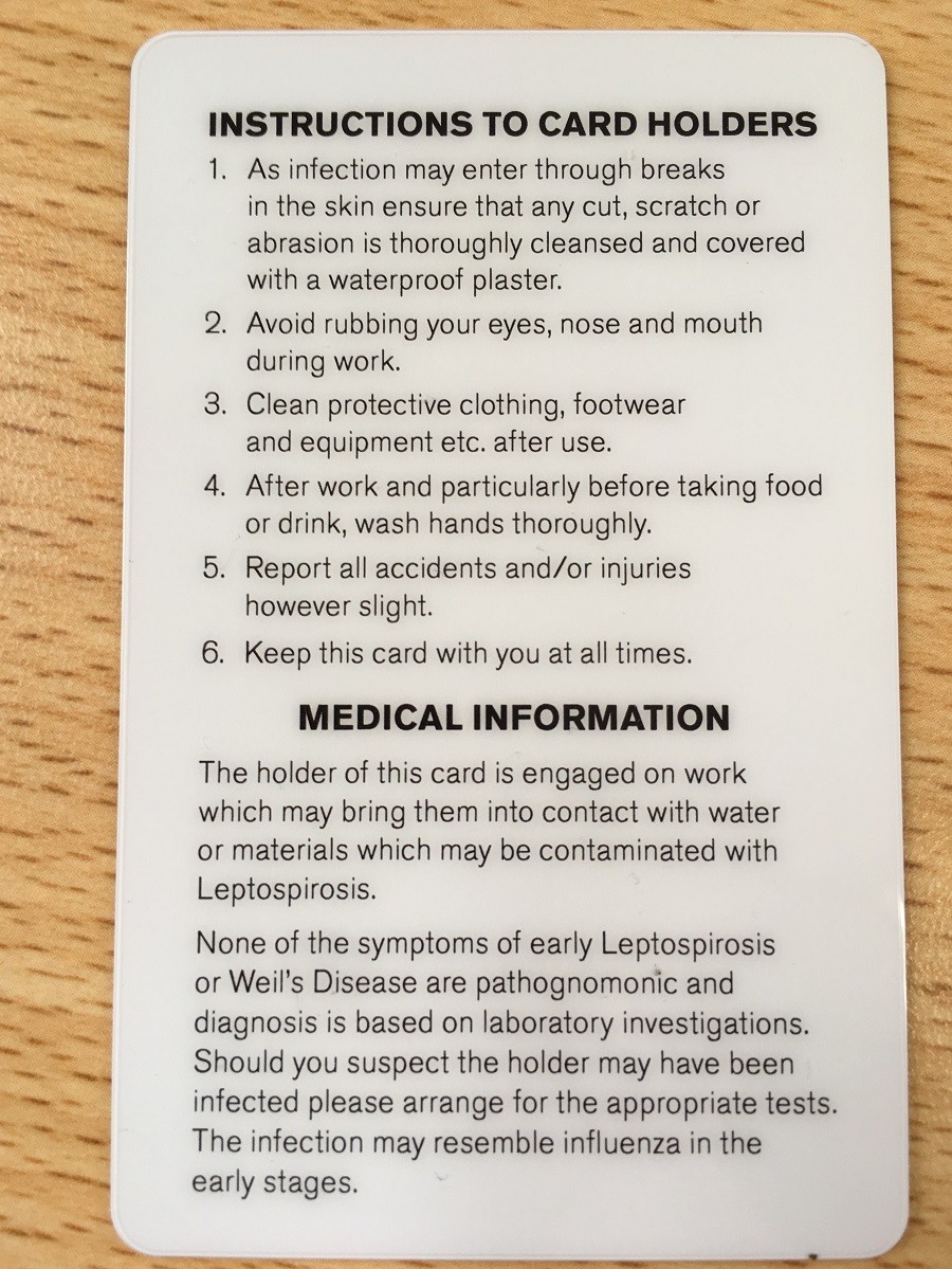 Leptospirosis card