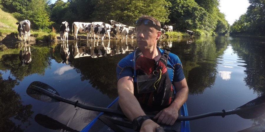 Andy Torbet in canoe with cows