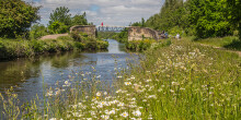 People crossing a bridge over the canal with wildflowers and greenery in the foreground