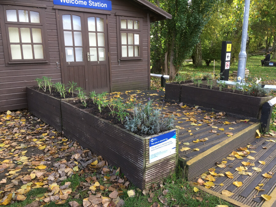 New plants in at Hatton , Grand Union Canal by Kenneth Wheeler